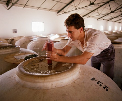 Using a hydrometer to measure the specific gravity of must fermenting in a tinaja in bodega of Alvear   Montilla Andalucia Spain