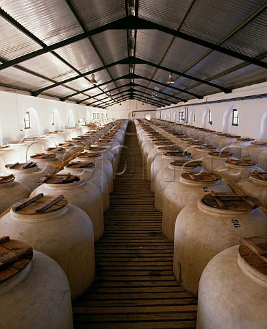 Tinajas in bodega of Alvear Montilla Andalucia   Spain  DO MontillaMoriles