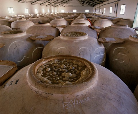 Fermenting wine in tinajas at Alvear Montilla   Andalucia Spain  MontillaMoriles