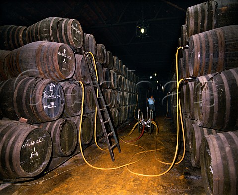 Pumping wine between barrels in the Solera system of Alvear Montilla Andaluca Spain