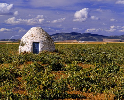 Stone hut in vineyard near Valdepeas   Castilla La Mancha Spain  DO Valdepeas