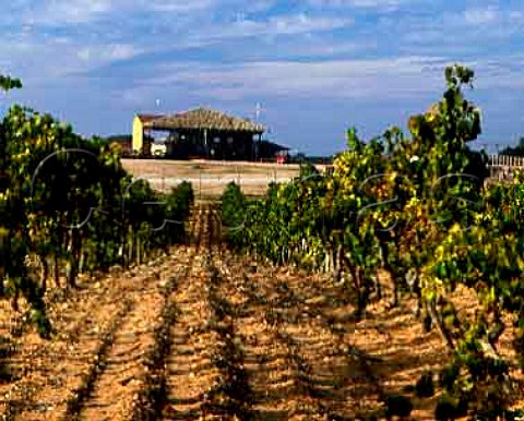 Grape unloading bay of Torres Pacs del Penedes   near Villafranca del Penedes Catalonia