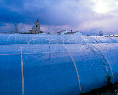 Plastic greenhouses   Alaejos Valladolid province Spain