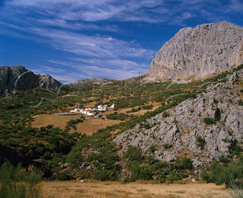 Farm houses in the Montes de Malaga between Antequera and  Malaga Andalucia Spain