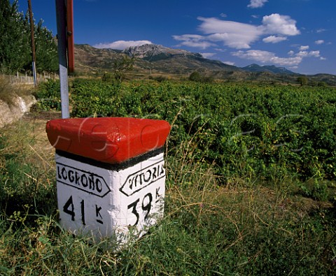 Logroo  Vittoria kilometre stone by vineyard at Brias with the Sierra de Cantabria in background   Near Haro La Rioja Spain  Rioja Alta