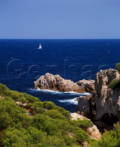 Rugged coastline of the Costa Brava at Tamariu near Palafrugell Catalonia Spain