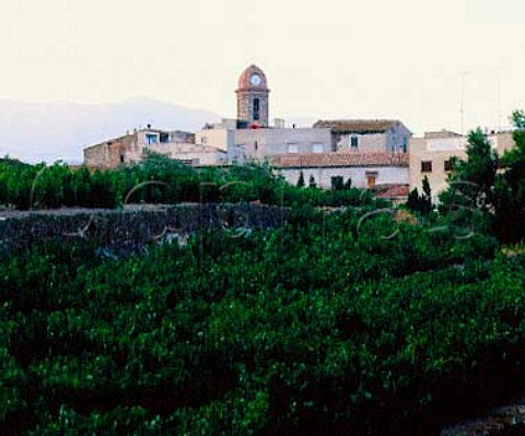 Village and vineyards of Espolla with the Pyrenees   beyond Catalonia Spain AmpurdanCosta Brava