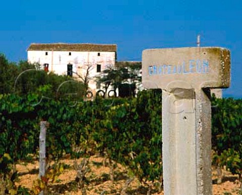 Chateau Leon sign in vineyard of Jean Leon Torrelavid Catalonia  Penedes