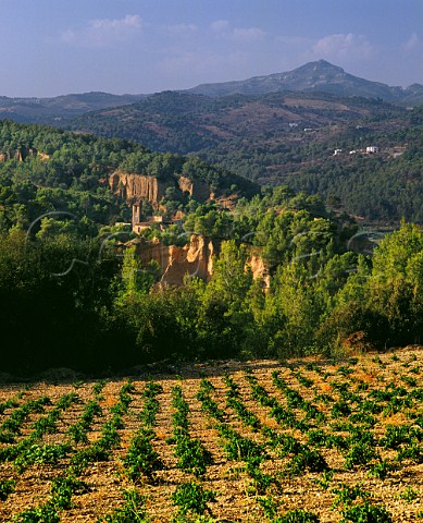 Vineyard and hermitage at Pierola Catalonia Spain Peneds