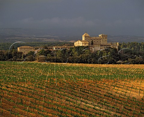 New vineyards of Codorniu with the   Castillo de Riudabella beyond in the hills   near Monestir de Poblet Catalonia Spain  Conca da Barbera