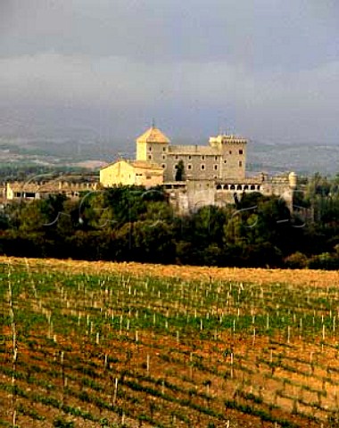 New vineyards of Codorniu with the Castillo of   Riudabella beyond in the hills near Monestir de   Poblet Catalonia  Conca da Barbera