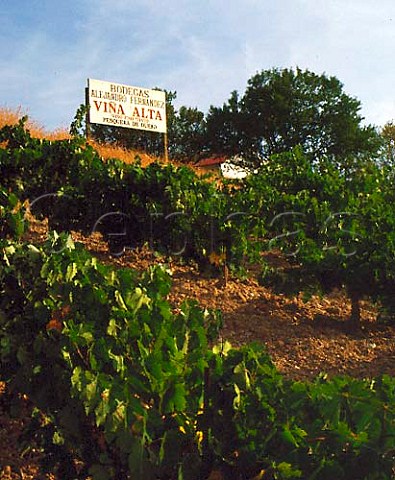 Via Alta vineyard of Alejandro Fernndez    Pesquera de Duero Castilla y Len Spain   Ribera del Duero