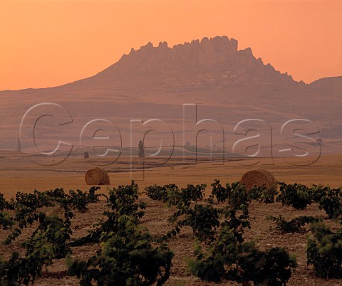 Dusk over the vineyards of Rioja Alta near   Villaseca west of Haro The village of Cellorigo can   just be made out on the mountainside