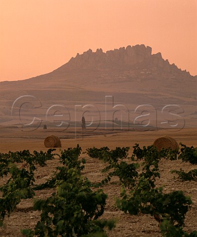 Dusk falls over vineyard near Villaseca with the village of Cellorigo on the hillside in distance  Near Haro La Rioja Spain  Rioja Alta