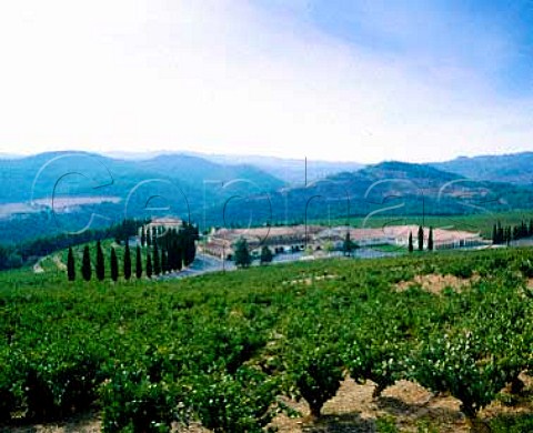 Vineyards on hill above Bodegas del Senorio de   Sarria Puente la Reina Navarra