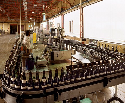 Bottling line in the Torres winery at Pacs del  Peneds Catalonia Spain