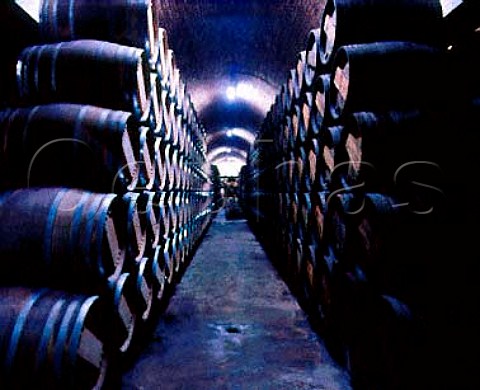 Barrel cellar of Bodegas del Senorio de Sarria   Puente la Reina Navarra Spain