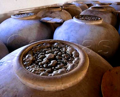 Fermenting wine in tinajas at Alvear Montilla