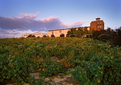 Bodegas Beronia and its vineyard Ollauri La Rioja Spain  Rioja Alta