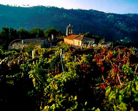 Autumnal vineyards around church near Carballino   Galicia Spain DO Ribeiro