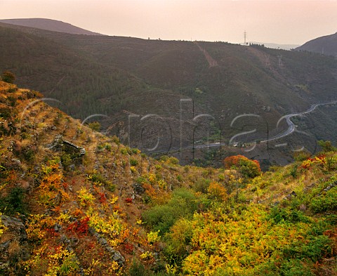 Old vineyard terraces near A Pobra de Trives Galicia Spain  Ribeira Sacra