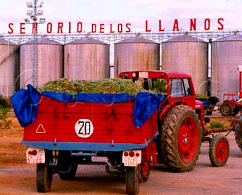 Waiting to unload Airen grapes at bodega of Senorio   de los Llanos Valdepenas La Mancha Spain