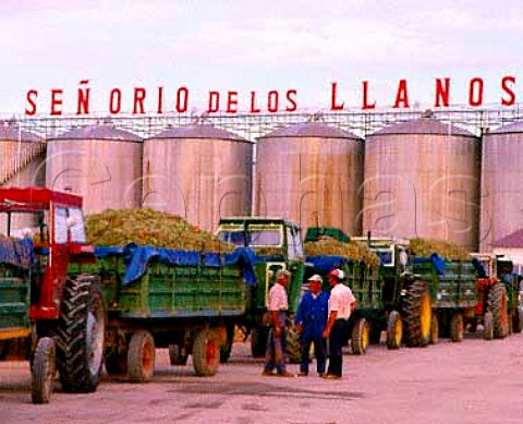 Waiting to unload Airen grapes at bodega of Senorio   de los Llanos Valdepeas La Mancha Spain