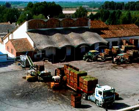 Unloading grapes at Raimat Lerida Catalunya Spain Costers del Segre