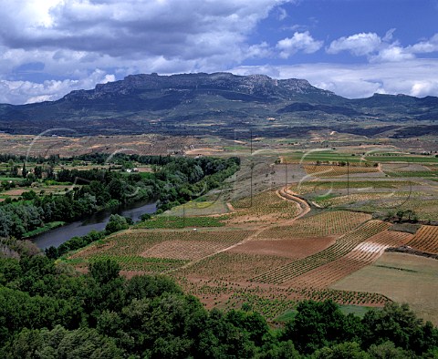 Vineyards by the River Ebro with the Sierra   de Cantabria beyond viewed from Briones   La Rioja Spain     Rioja Alta