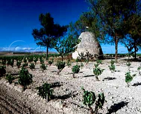 Traditional stone shelter known as guardavinas in vineyard near Oyon Alava Spain Rioja Alavesa