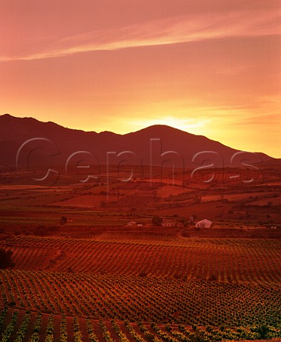 Sunset over vineyards near Aguaron with the Sierra de Algairen in distance Aragon Spain  DO Carinena