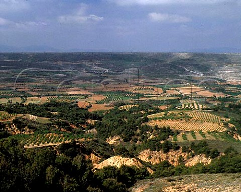 Vineyards and fruit and almond orchards are the main   forms of agriculture in the valleys around the town   of Miedes Aragon Spain  DO Calatayud