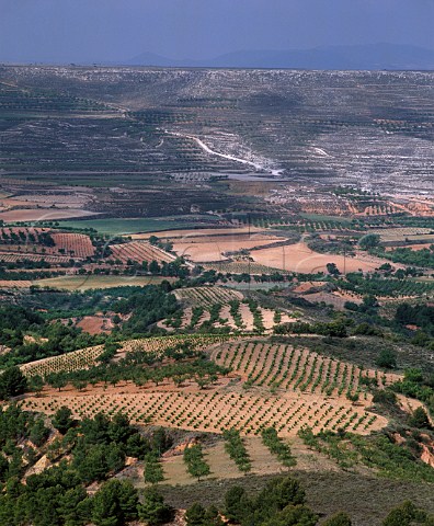 Vineyards and fruit and almond orchards are the main forms of agriculture in the valleys around the town of Miedes Aragn Spain  DO Calatayud