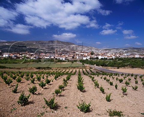 Village of Mara viewed over vineyard Aragn Spain   DO Calatayud