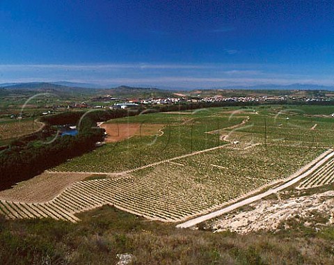 Vineyards of Herederos del Marqus de Riscal by the   Rio Ebro with the town of Cenicero beyond The river   here is the boundary between Rioja Alavesa near   and Rioja Alta   Spain