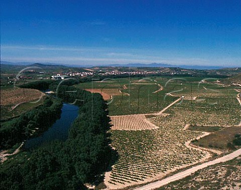 Vineyards of Herederos del Marqus de Riscal by the   Rio Ebro with the town of Cenicero beyond The river   here is the boundary between Rioja Alavesa on right    and Rioja Alta  Spain