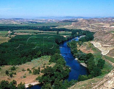 The Rio Ebro west of Cenicero is the boundary   between Rioja Alavesa right and Rioja Alta  Spain
