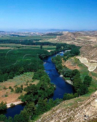 The Rio Ebro west of Cenicero is the boundary   between Rioja Alavesa right and Rioja Alta    Spain