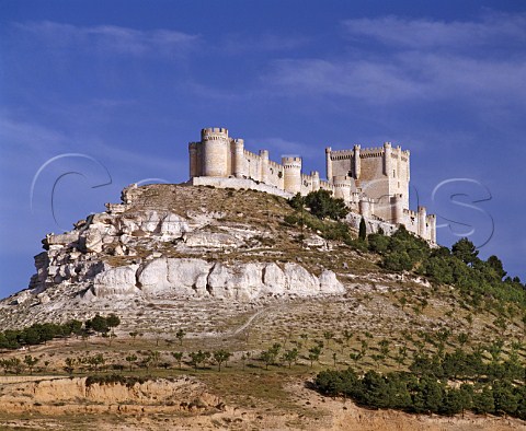 The castle of Penafiel perched high on a rock above   the town was built between the 10th and 14th   centuries Valladolid province Spain