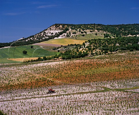 Tractor ploughing in vineyard on limestone soil at Hacienda Monasterio Pesquera de Duero  Valladolid Province Spain Ribera del Duero