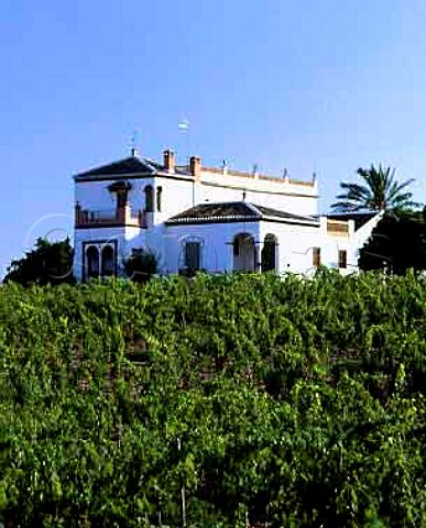 Wine property at Bollullos par del Condado Huelva   Province Andalucia Spain  DO Condado de Huelva