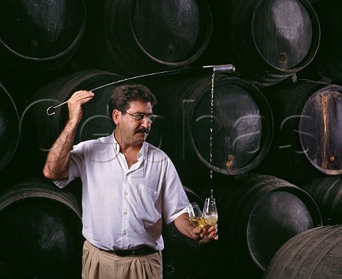 Using a venencia to fill glasses with fino sherry from cask in the bodegas of Emilio Lustau Jerez de la Frontera Andalucia Spain  Sherry