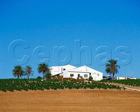 Via la Carrandana near Jerez Andaluca Spain    Sherry