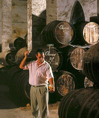 Angel Barcia Capataz foreman of the bodega   taking Oloroso from barrel using a venencia in La   Palma bodega of Osborne Puerto de Santa Maria   Spain Sherry