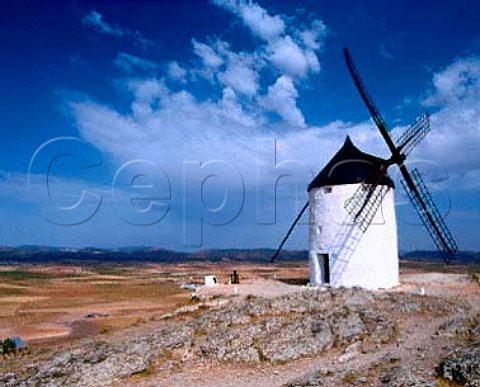 Windmill on ridge above Consuegra with vineyards on   the plain of La Mancha below   Castilla La Mancha   Spain