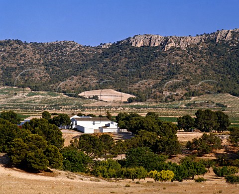 Bodegas and vineyards of Casa Castillo below the Sierra del Molar Near Jumilla Murcia Province Spain   DO Jumilla
