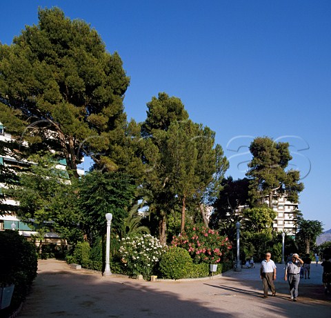 Gardens in the centre of Jumilla Murcia Province   Spain
