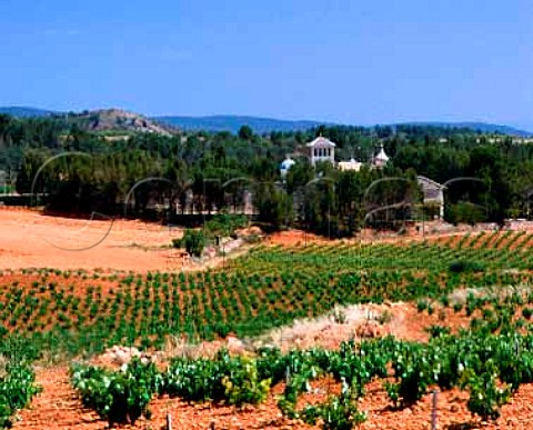 Vineyards near Requena Valencia Province Spain    DO Utiel Requena