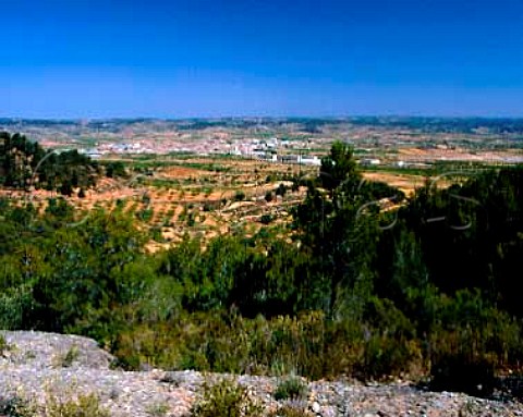 Town of Gandesa surrounded by vineyards and groves of almond and olive trees The plateau average altitude 400m is surrounded on all sides by mountains up to 1400m   Tarragona Province Spain DO Terra Alta