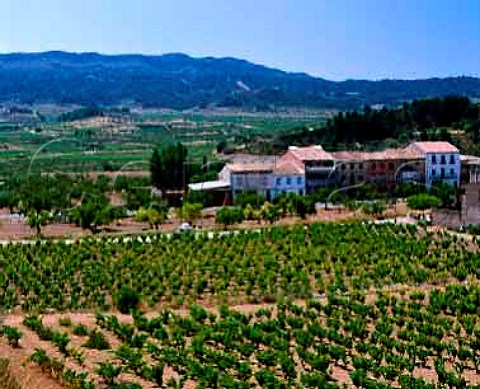 Vineyards and village of Corbera de Ebro Tarragona Province Spain DO Terra Alta